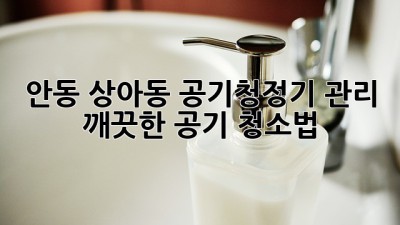 안동 상아동 공기청정기 관리, 깨끗한 공기 청소법