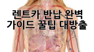 🚗 렌트카 반납 완벽 가이드: 꿀팁 대방출! 🍯