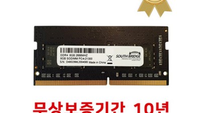 램8GB 최저가 득템! 후회없는 선택? 내돈내산 솔직 후기